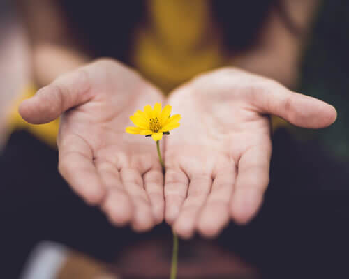 Somatic Experiencing Treatment-for stress-trauma